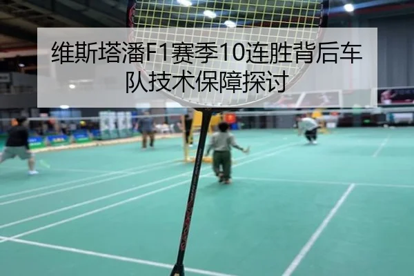 维斯塔潘F1赛季10连胜背后车队技术保障探讨